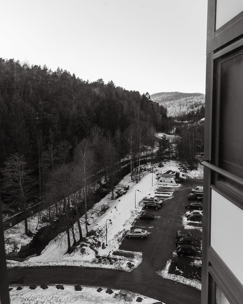 Kitchen view 19 January 2025