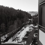 Kitchen view 19 January 2025