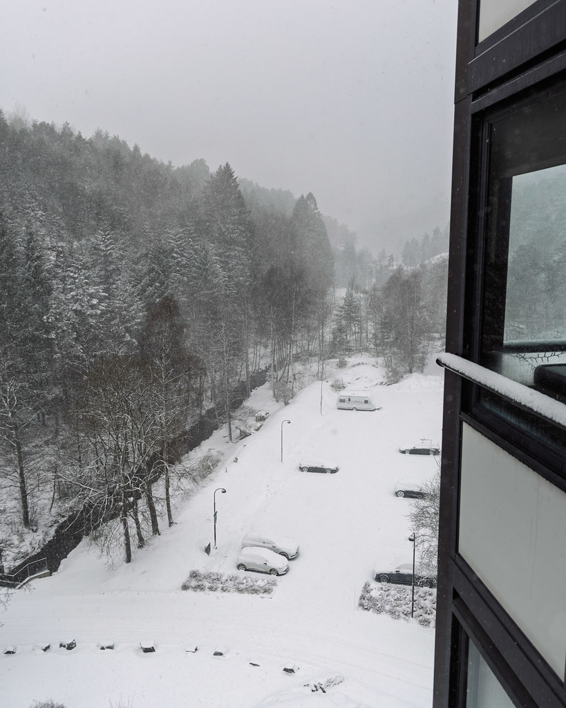 Kitchen view 22 January 2026