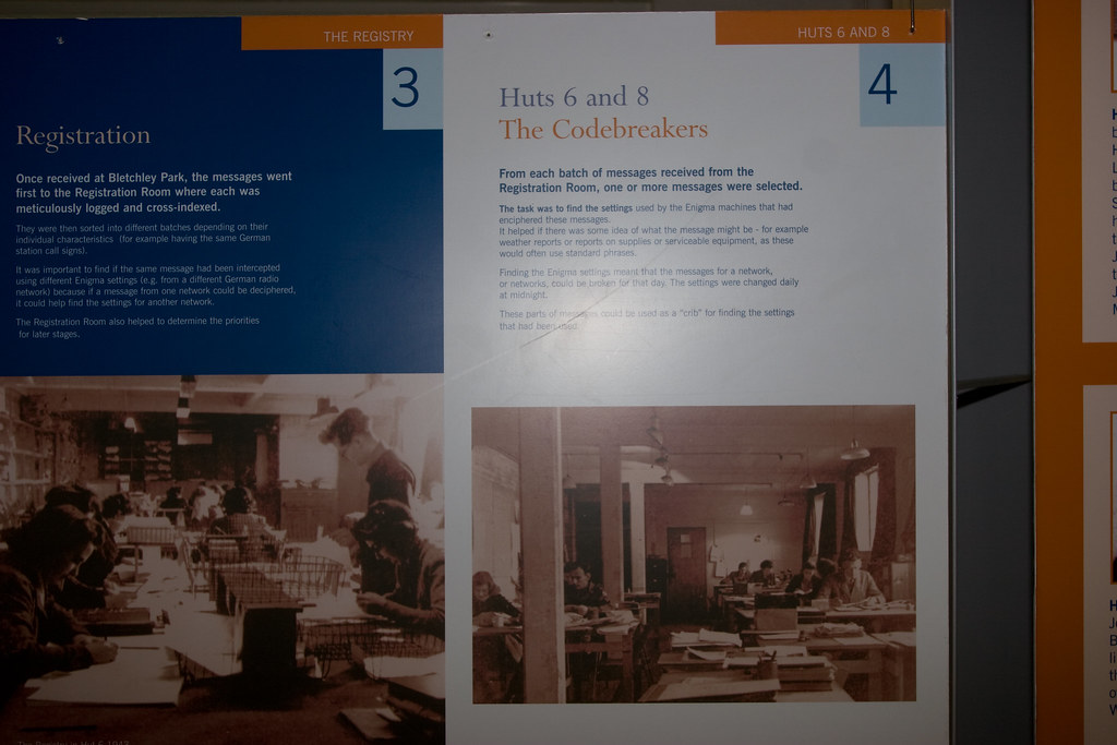 _MG_60503504 x 23363504 x 2336