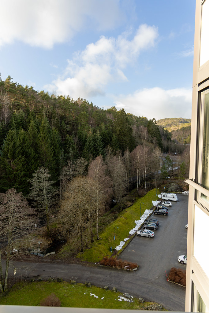 Kitchen view 5 February 2025
