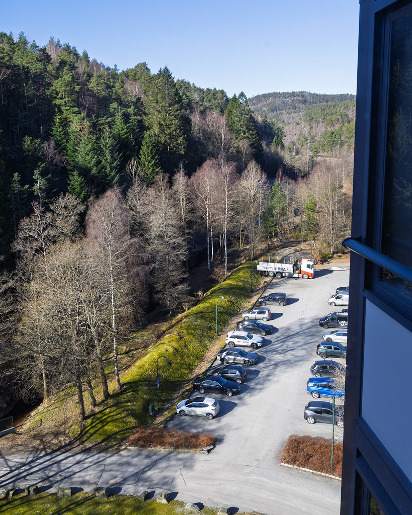 Kitchen view 16 March 2025