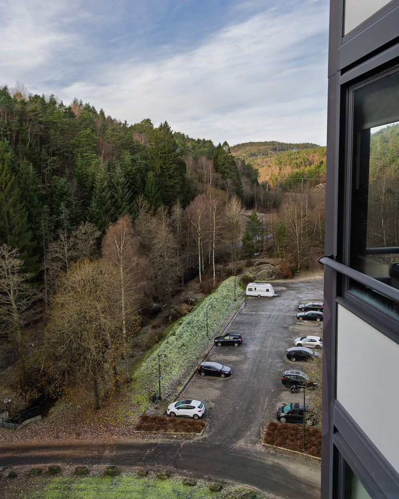 Kitchen view 18 November 2025