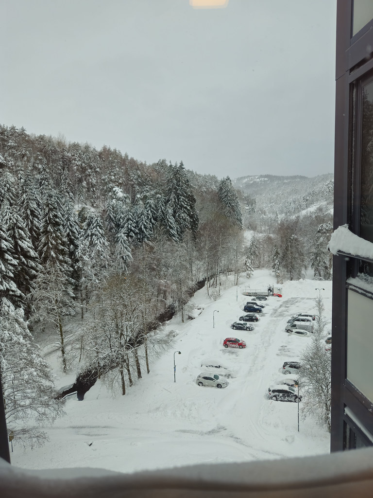 Kitchen view 3 January 2024
