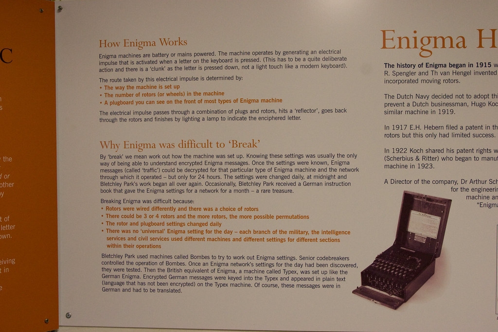 _MG_60013504 x 23363504 x 2336