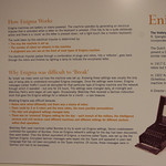 _MG_60013504 x 23363504 x 2336