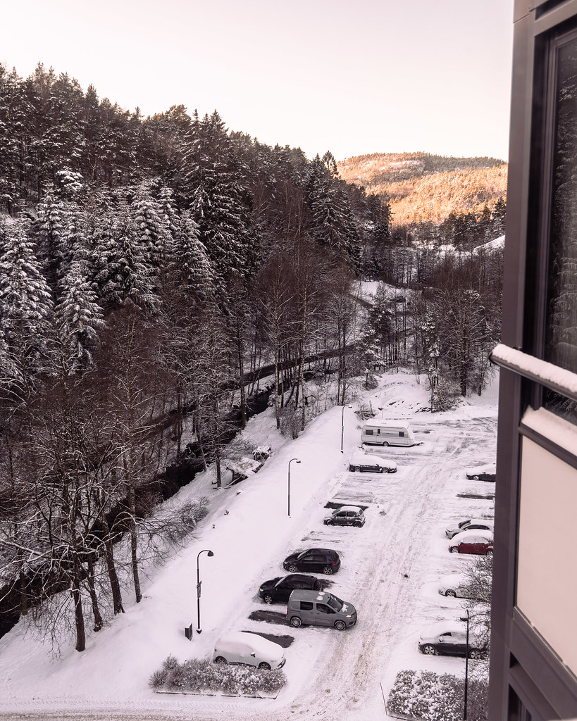 Kitchen view 3 January 2025