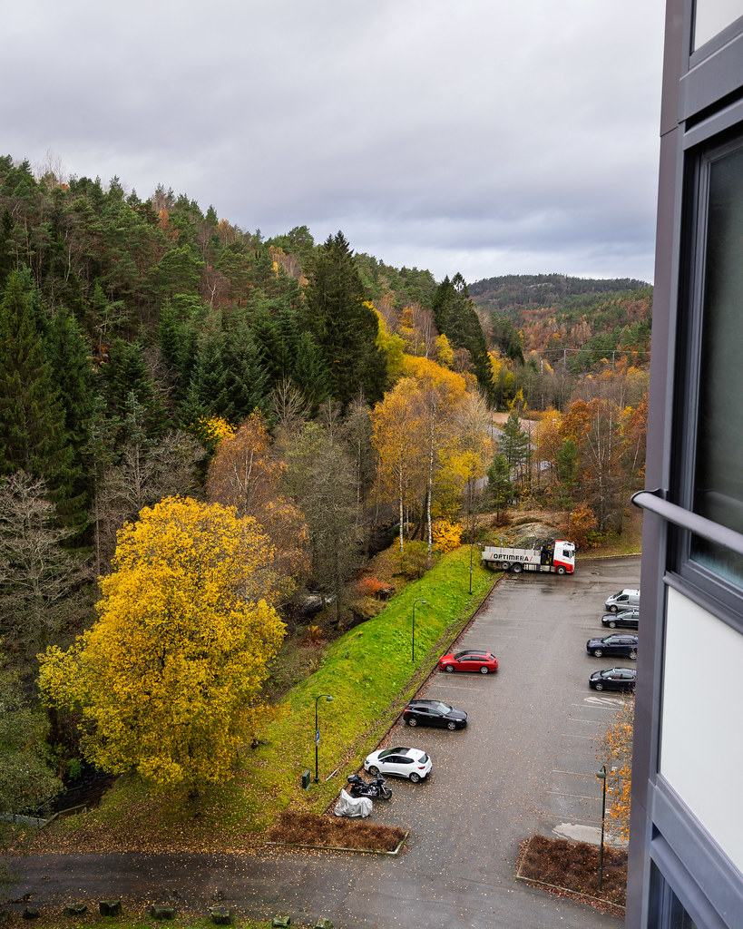 Kitchen View 31 October 2025