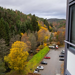 Kitchen View 31 October 2025