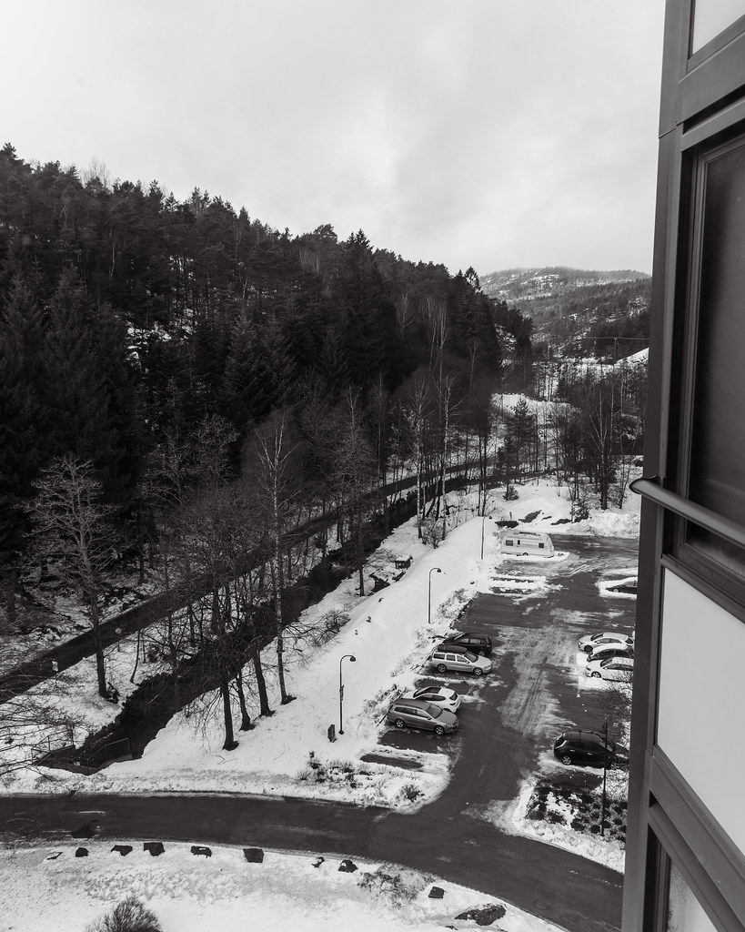 Kitchen view 16 January 2025