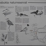 Kjosbukta naturreservat infromasjonsskilt
