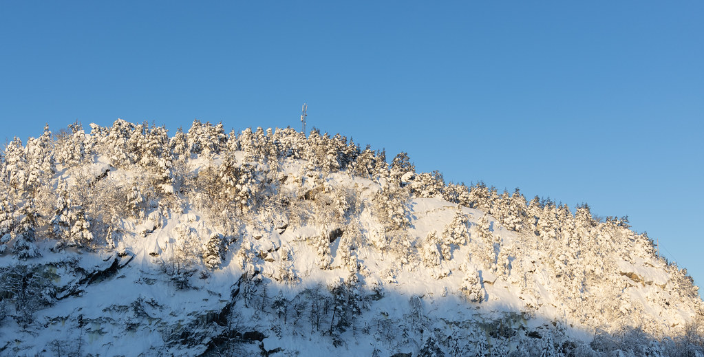 View from my home office window