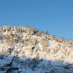 View from my home office window