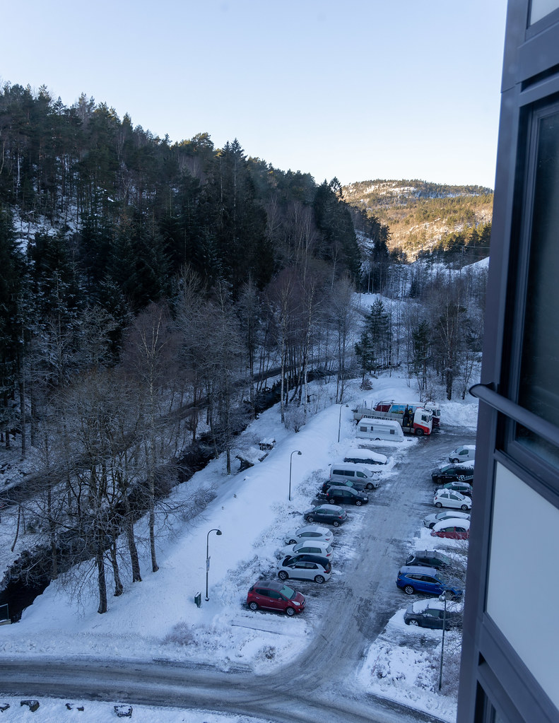 Kitchen view 12 January 2025