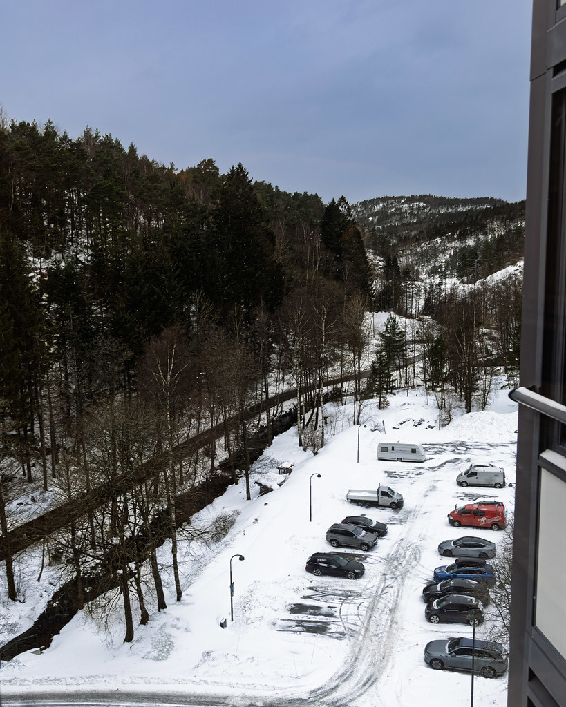 Kitchen view 30 January 2026