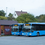 Two blue buses