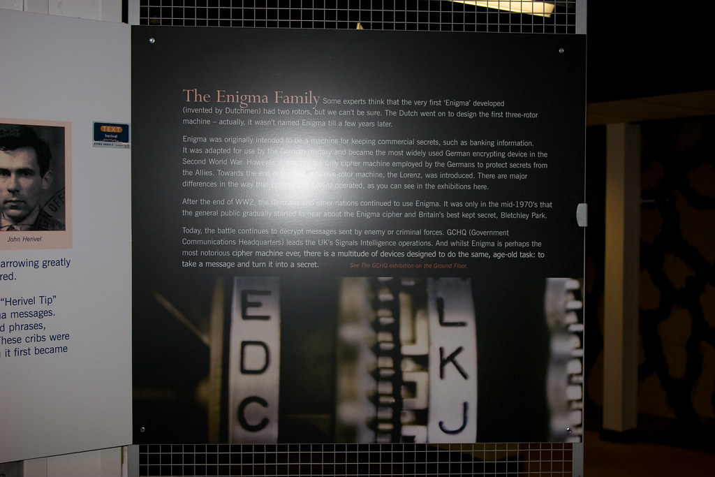 _MG_60643504 x 23363504 x 2336