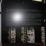 _MG_60643504 x 23363504 x 2336