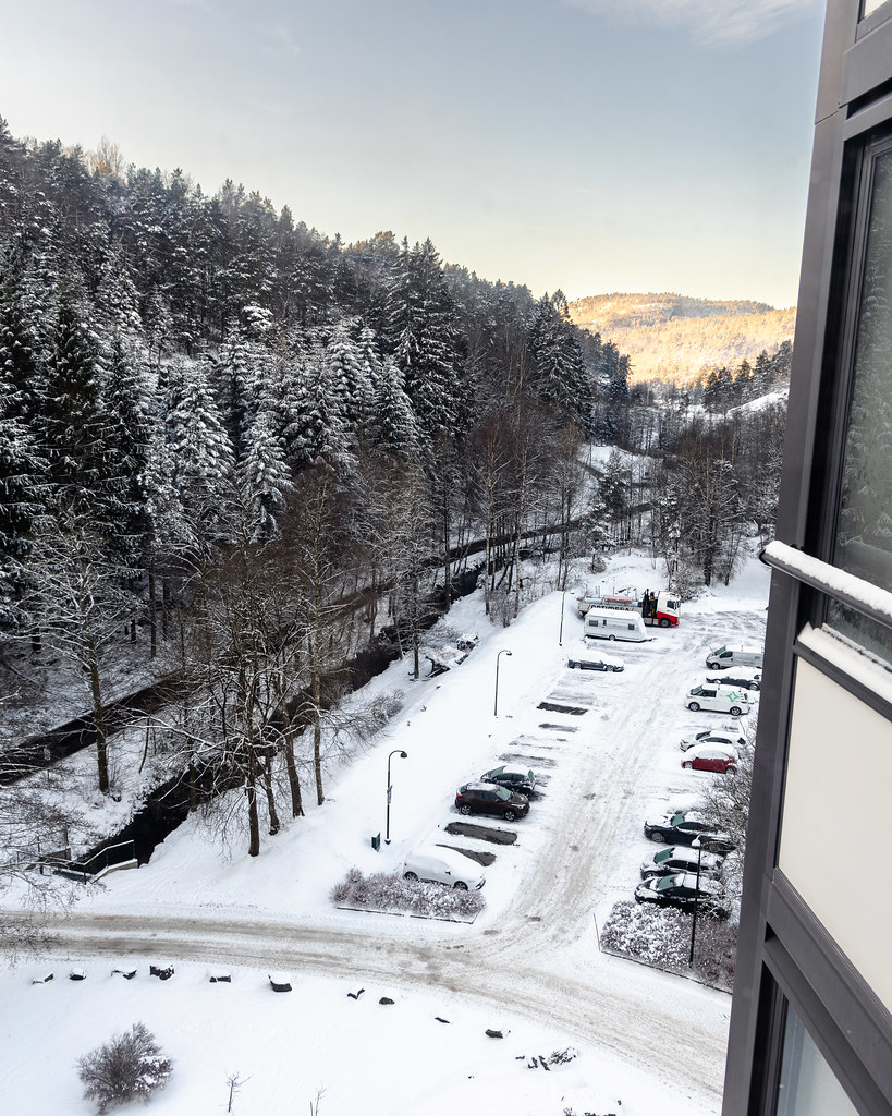 Kitchen view 4 January 2025
