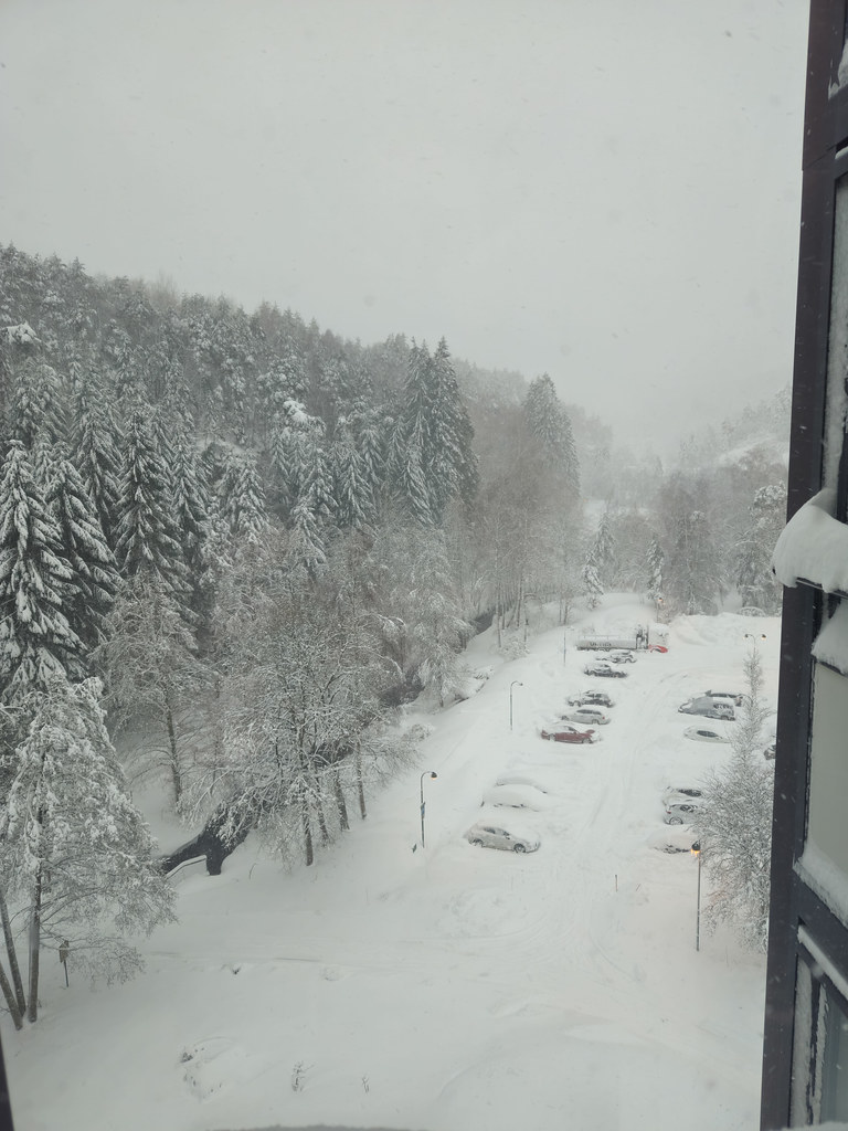 Kitchen view 2 January 2024