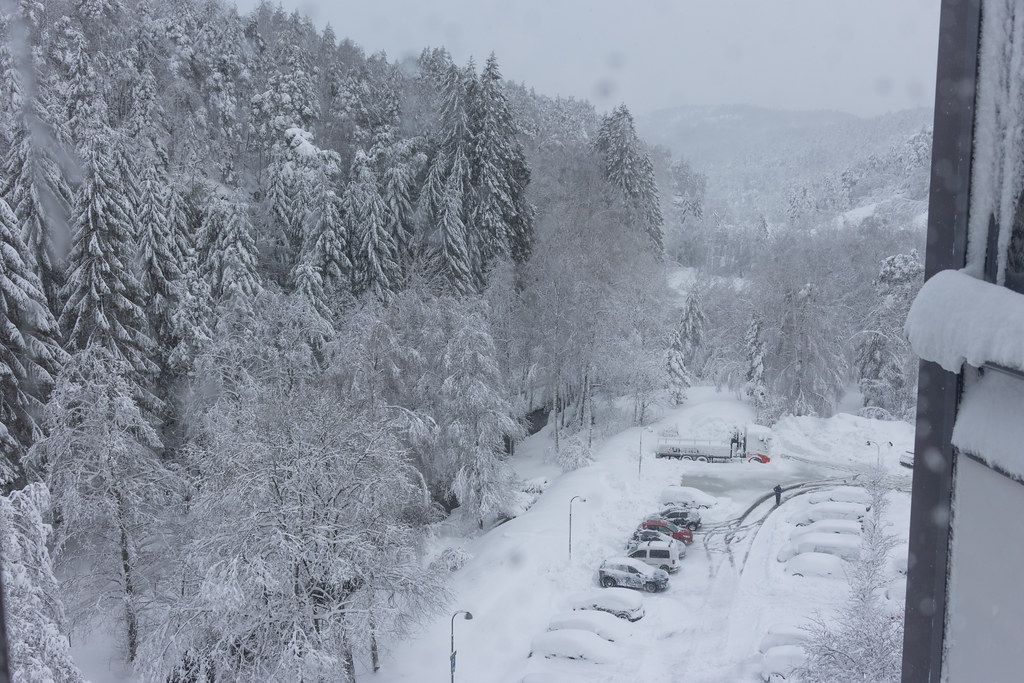 View from the kitchen today