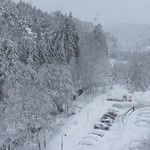 View from the kitchen today