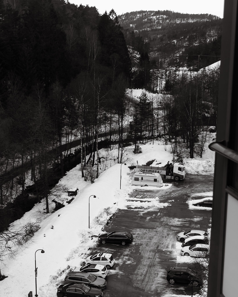 Kitchen view 15 January 2025