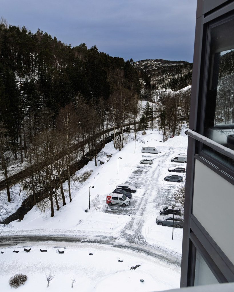 Kitchen view 26 January 2026