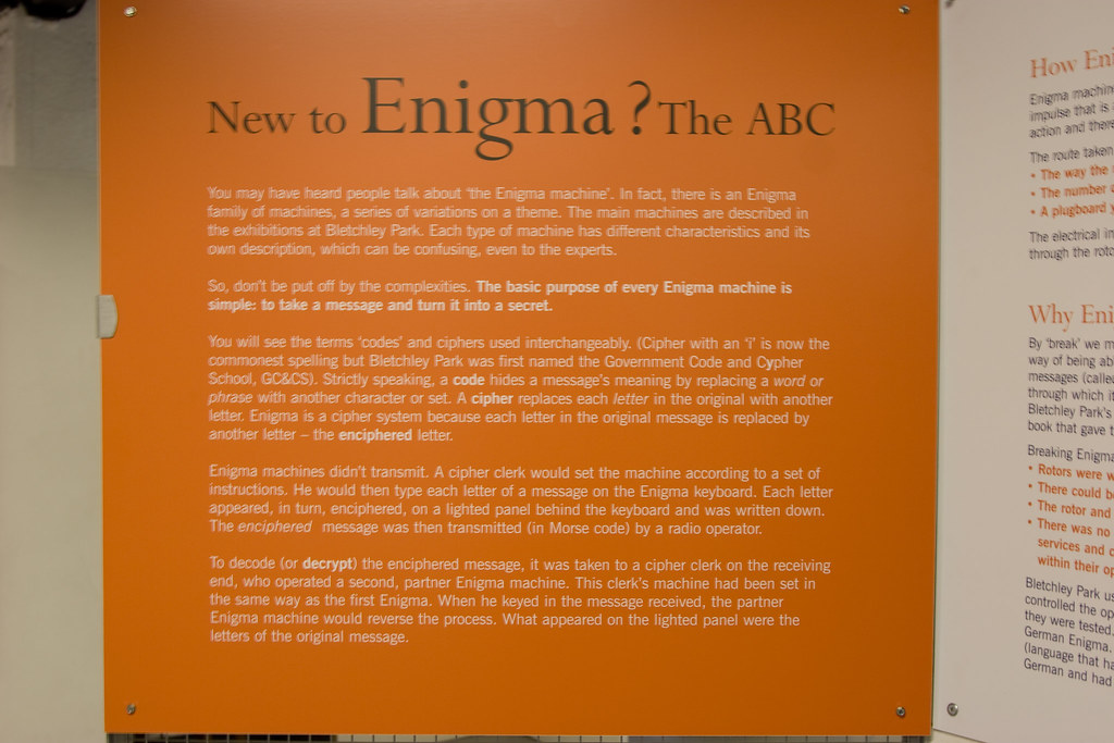 _MG_59983504 x 23363504 x 2336