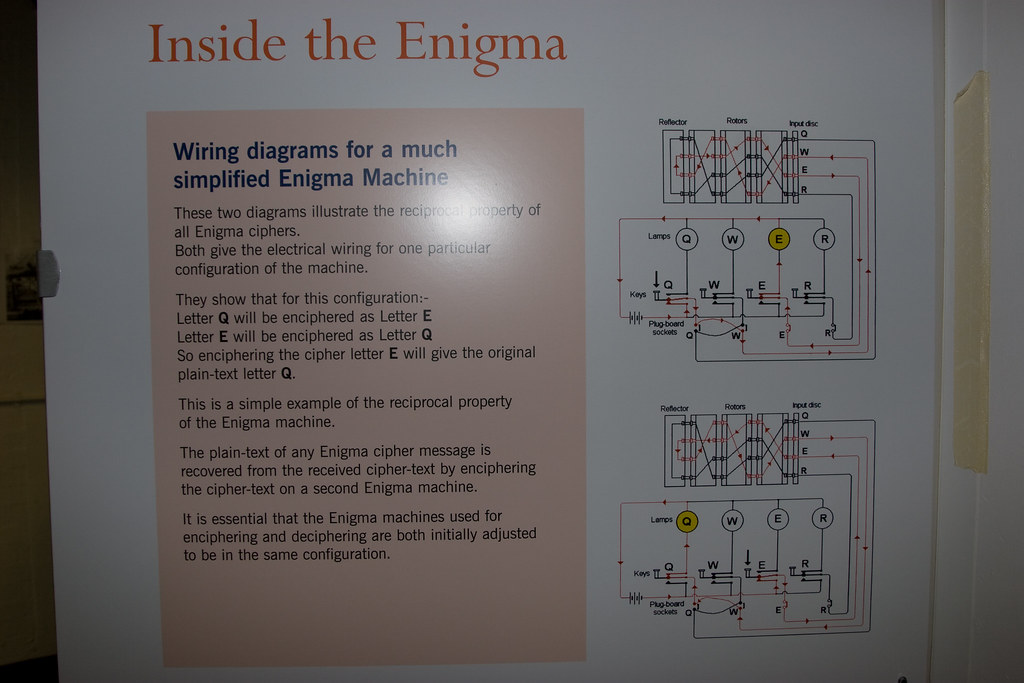 _MG_60693504 x 23363504 x 2336