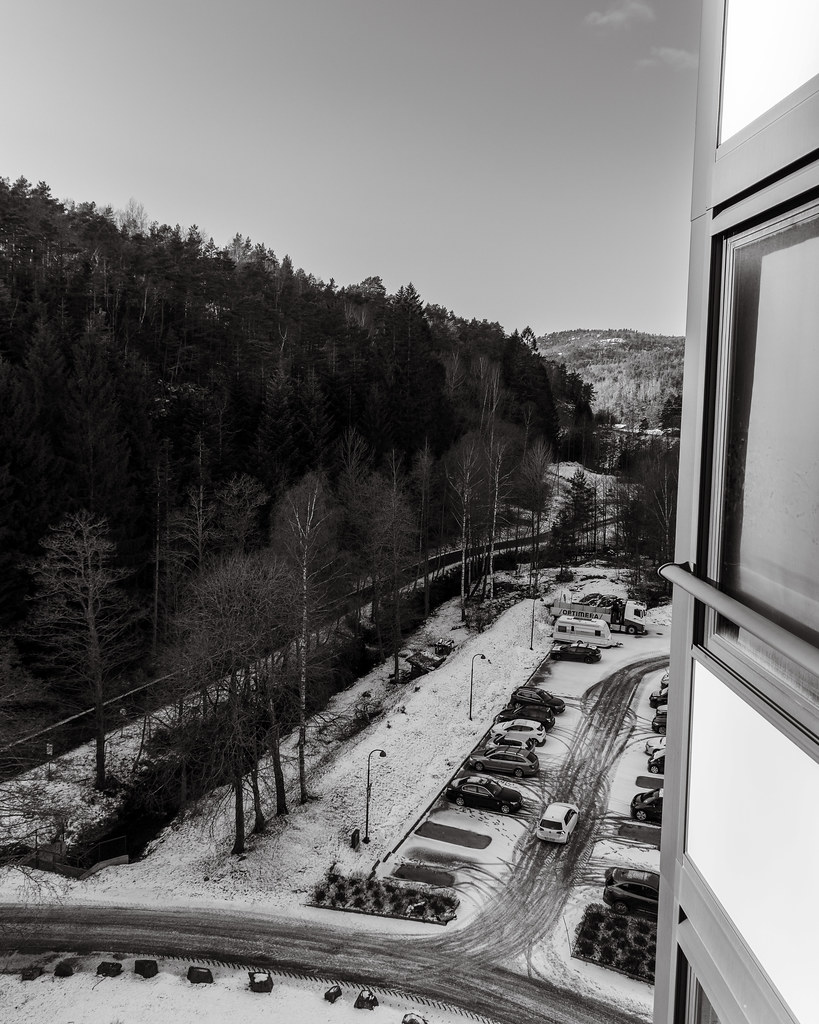 Kitchen view 9 February 2025