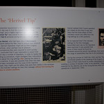 _MG_60653504 x 23363504 x 2336