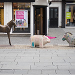 Folen i Markens med venner