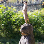 Kristiansand dyrepark