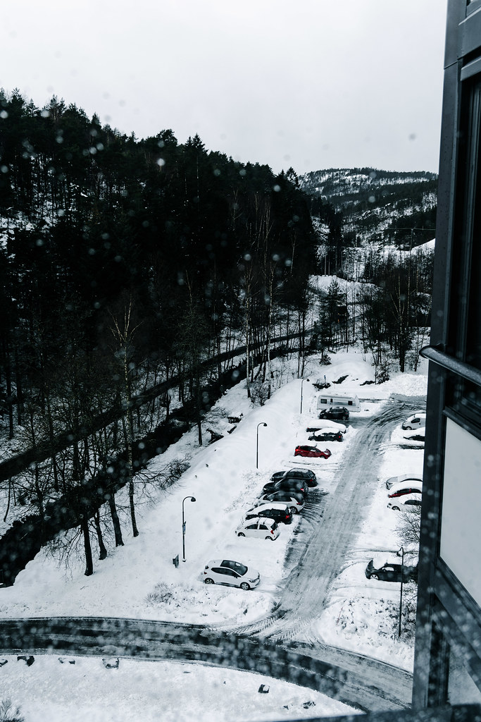 Kitchen view 7 January 2025