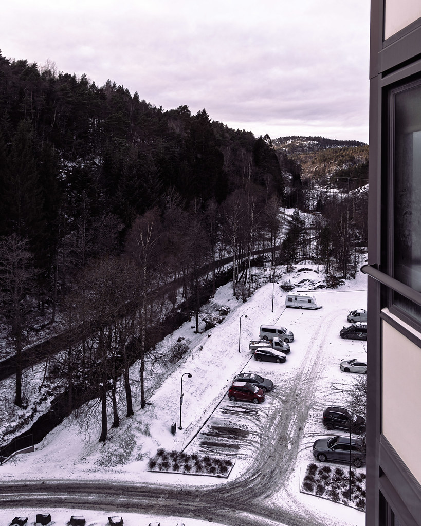 Kitchen view 10 January 2026