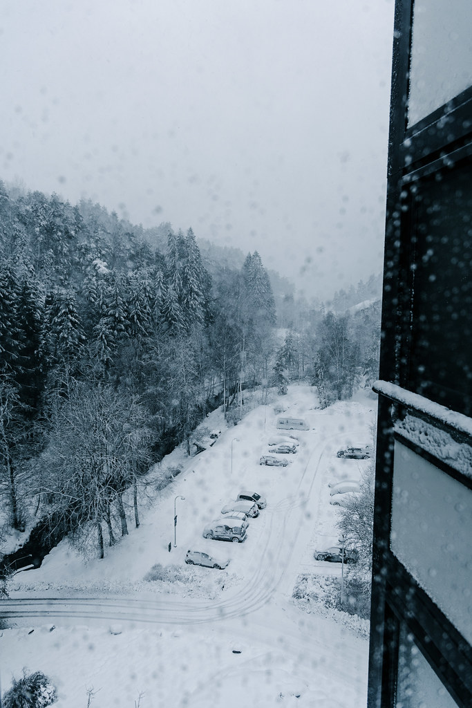 Kitchen view 6 January 2025