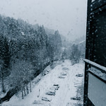 Kitchen view 6 January 2025