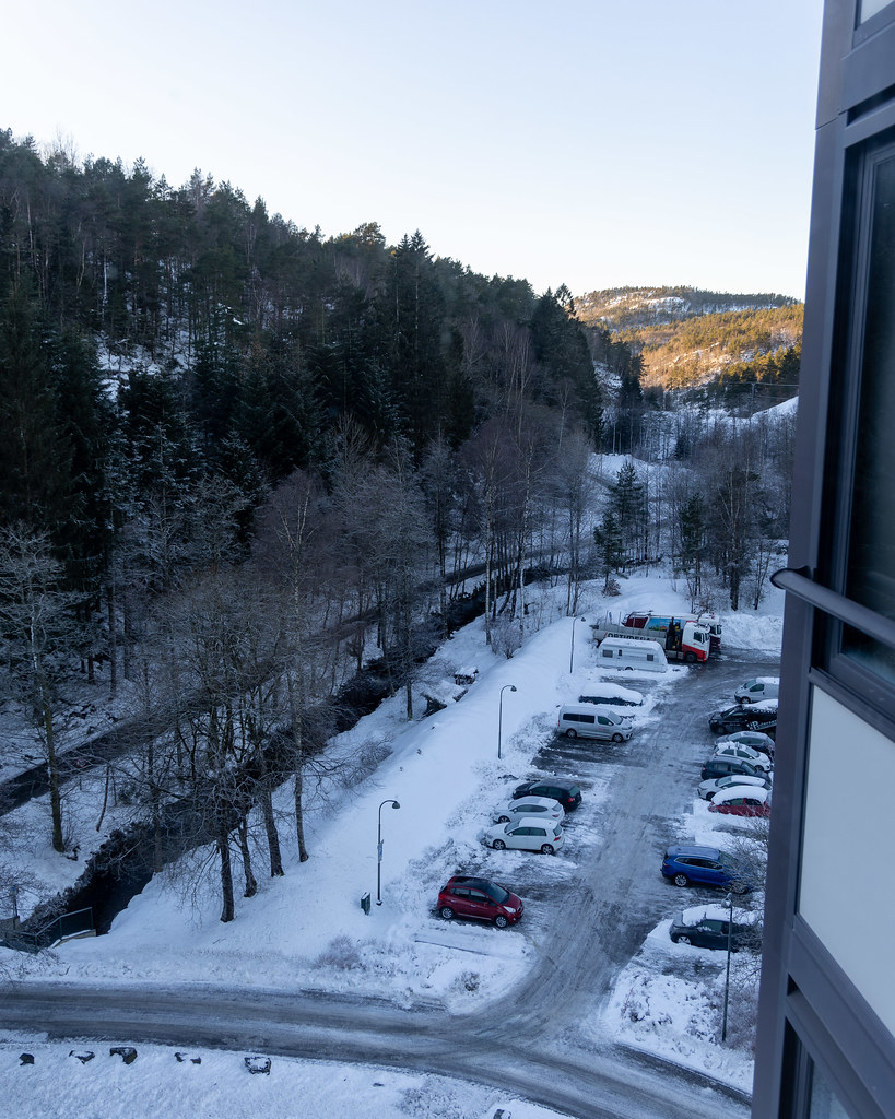 Kitchen view 11 January 2025