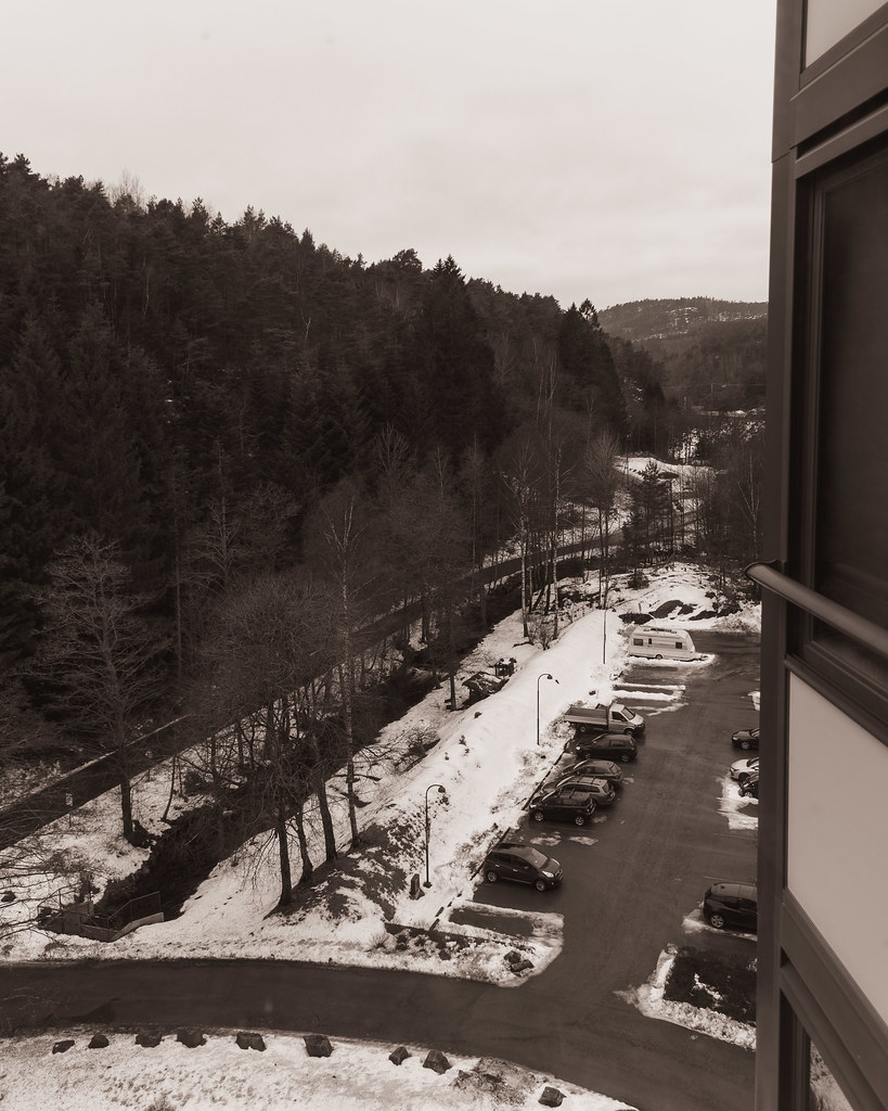 Kitchen view 20 January 2025