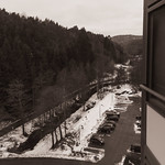 Kitchen view 20 January 2025