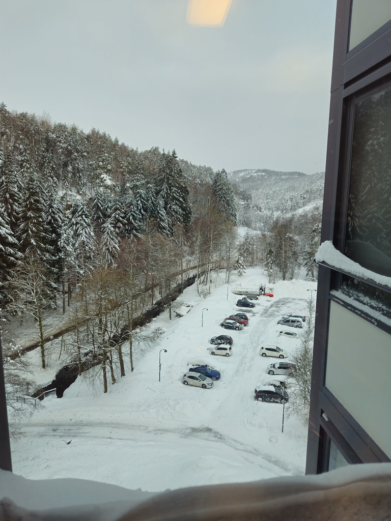 Kitchen view 4 January 2024
