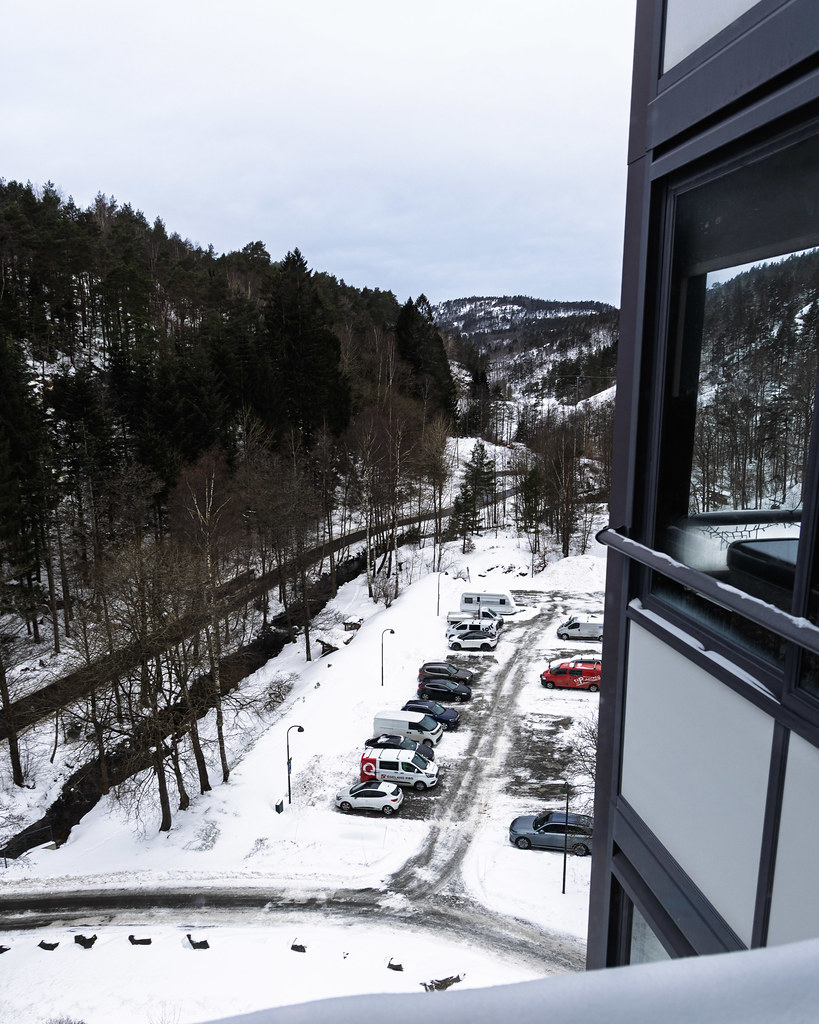 Kitchen view 28 January 2026