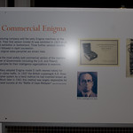 _MG_60723504 x 23363504 x 2336