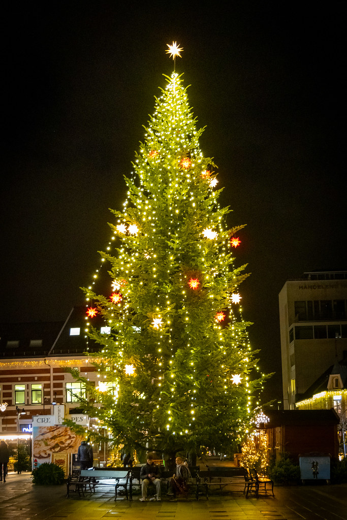 Kristiansand Christmas Tree 2024