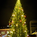 Kristiansand Christmas Tree 2024