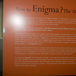 _MG_60733504 x 23363504 x 2336