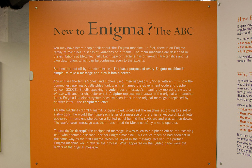 _MG_59993504 x 23363504 x 2336