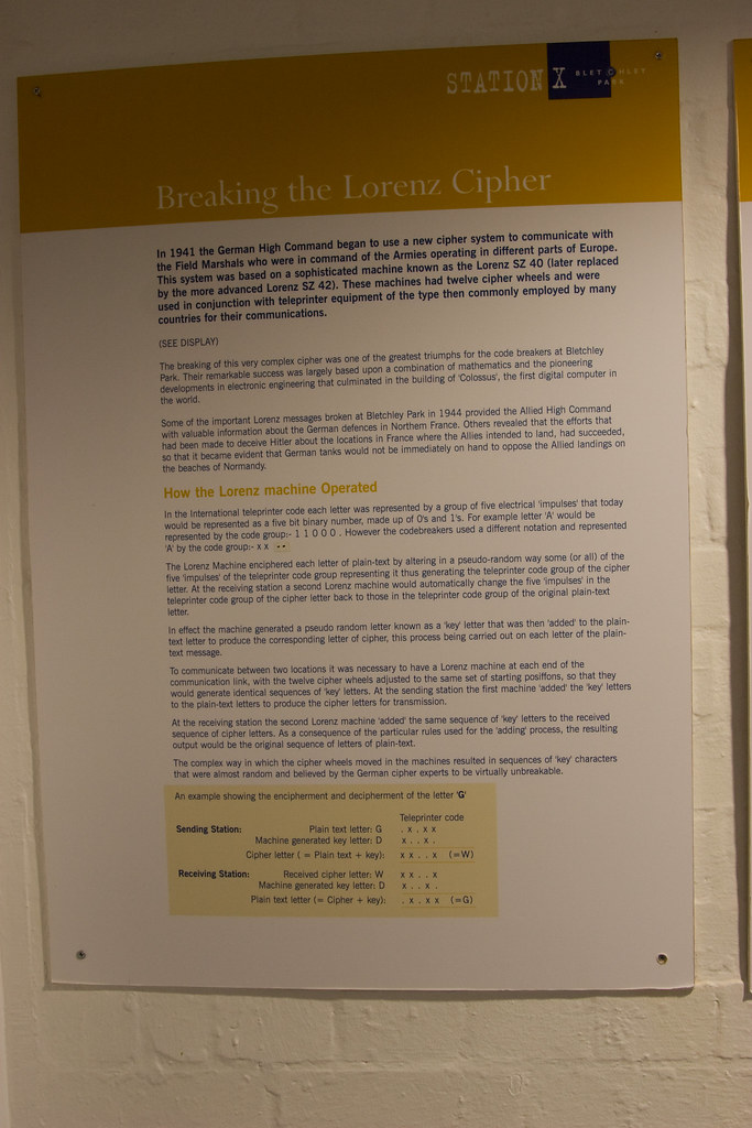 _MG_60562336 x 35042336 x 3504