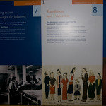 _MG_60543504 x 23363504 x 2336